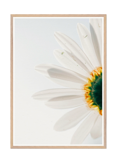56918857-9611-4989-827b-9f0021800bee