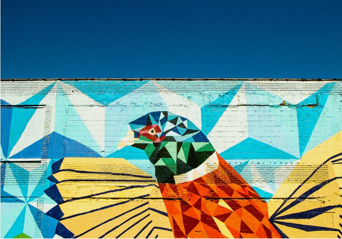 Detroit Wall Art | Colourful Bird