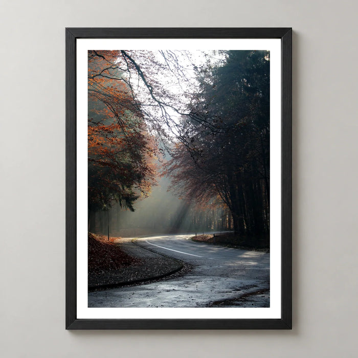 Autumn Forest Photographic Art Print