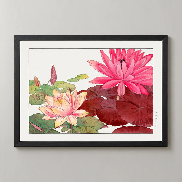 Pink Water Lilies Art Print by Tanigami Kōnan