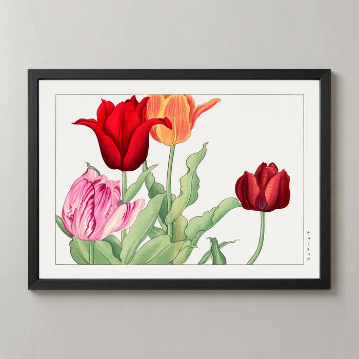 Red and Orange Tulips Art Print by Tanigami Kōnan