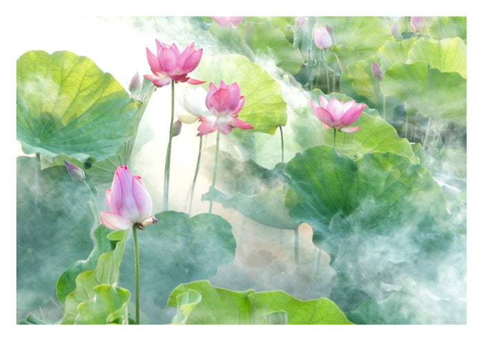 Lotus Summer Art Print