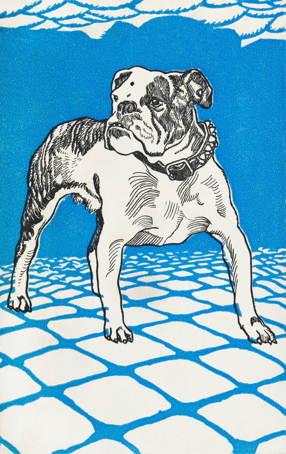 Vintage Bulldog Illustration Art Print - Charming Canine Design — poster only, complete unframed artwork