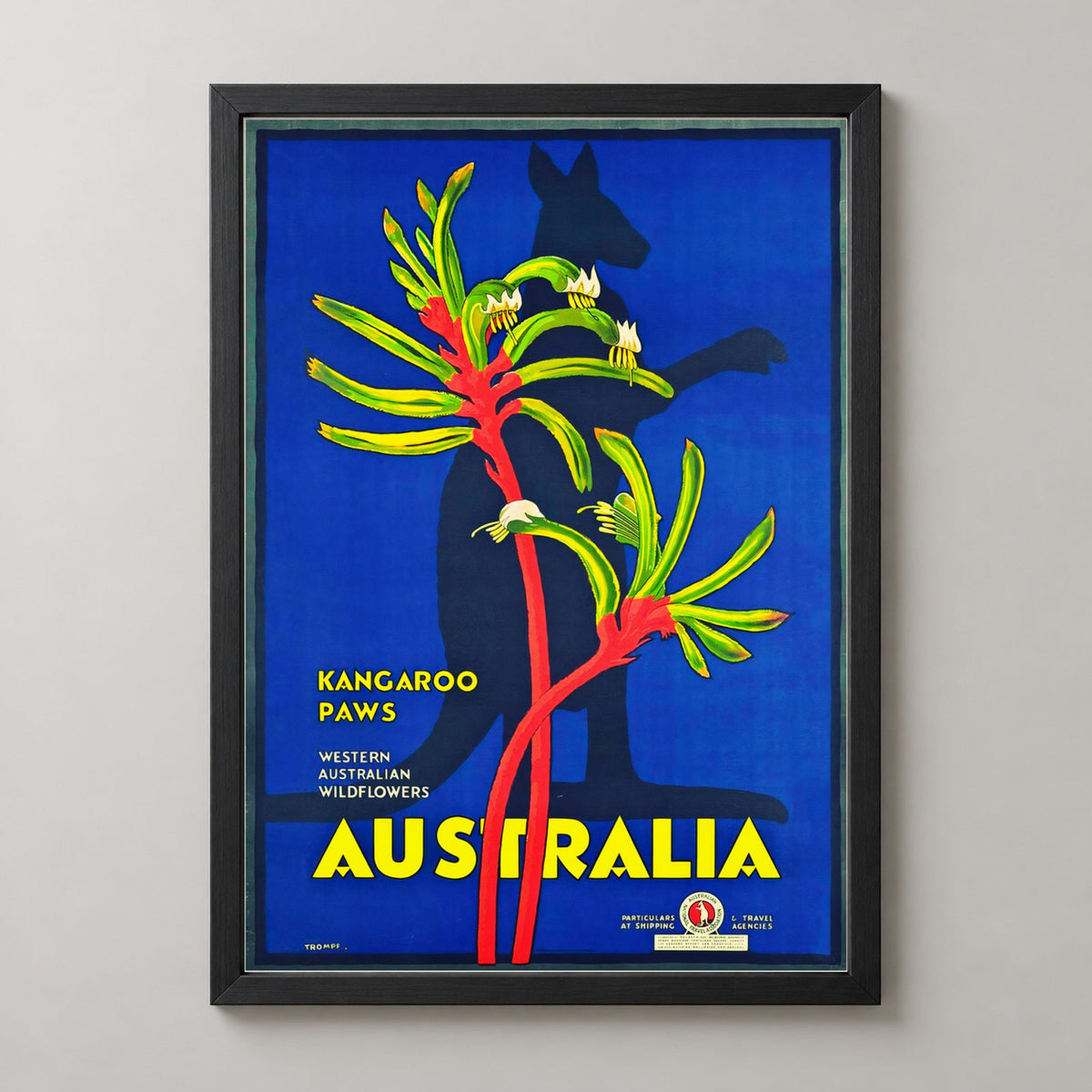 Western Australian Kangaroo Paws Vintage Travel Poster — realistic black frame studio view