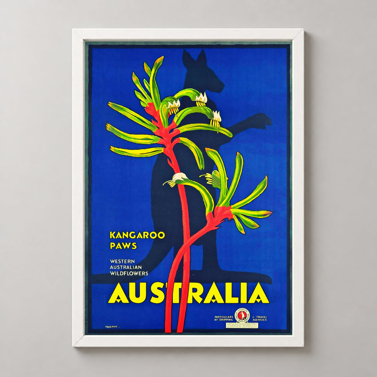 Western Australian Kangaroo Paws Vintage Travel Poster — realistic white frame studio view