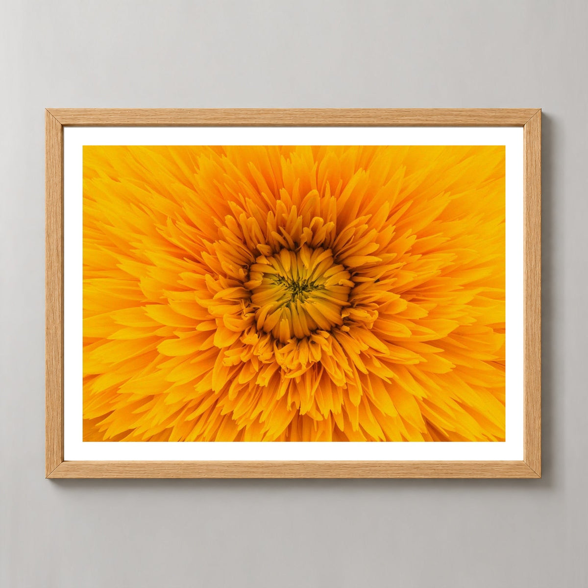 Yellow Flower Up Close — realistic natural wood frame studio view with white border