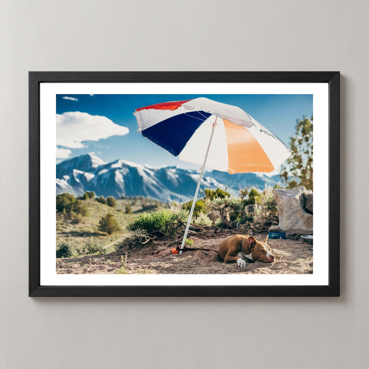 Mammoth Lakes Hot Dog — realistic black frame studio view with white border