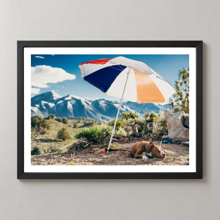 Mammoth Lakes Hot Dog