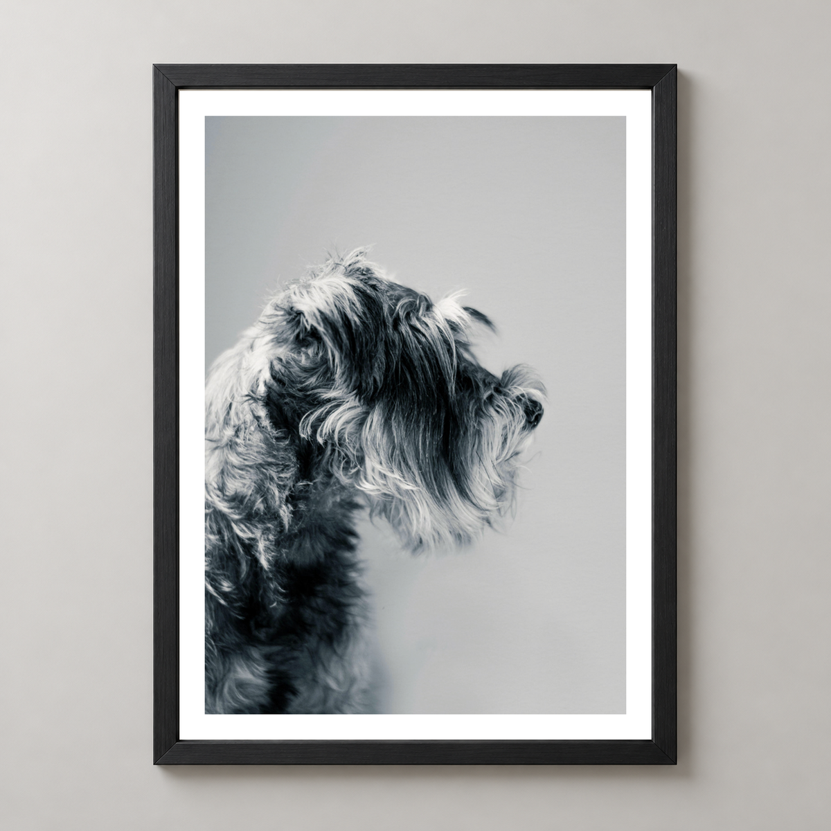 Captivating Canine Portrait - Black and White Dog Art Print — realistic black frame studio view with white border