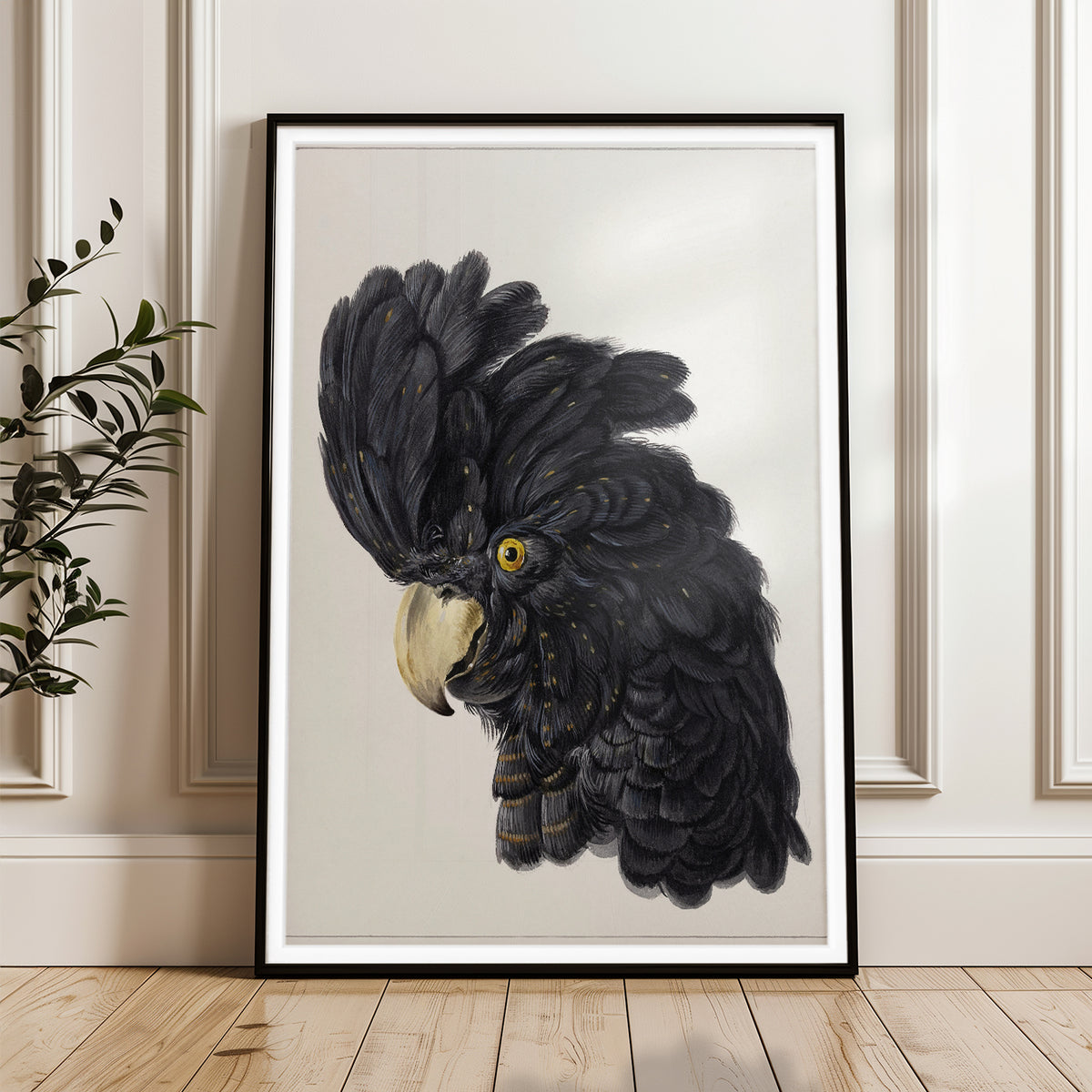 Exquisite Black Cockatoo Art Print - Detailed Ornithological Illustration