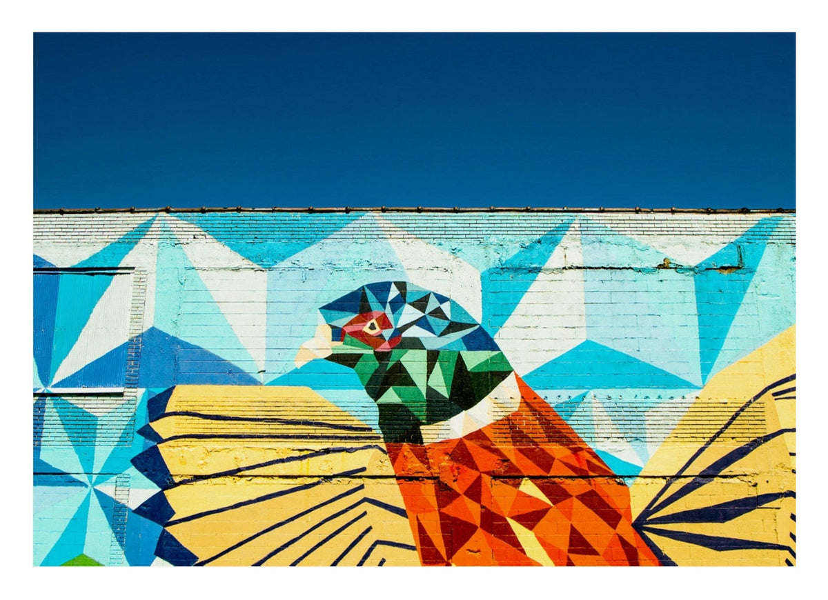Detroit Wall Art | Colourful Bird — poster only, complete unframed artwork with white border