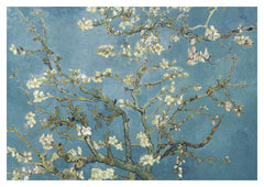 Almond Blossom Art Print by Vincent van Gogh (1890). Pale almond blossoms and dark branching stems spread across a rich blue sky in Vincent van Gogh’s Almond Blossom