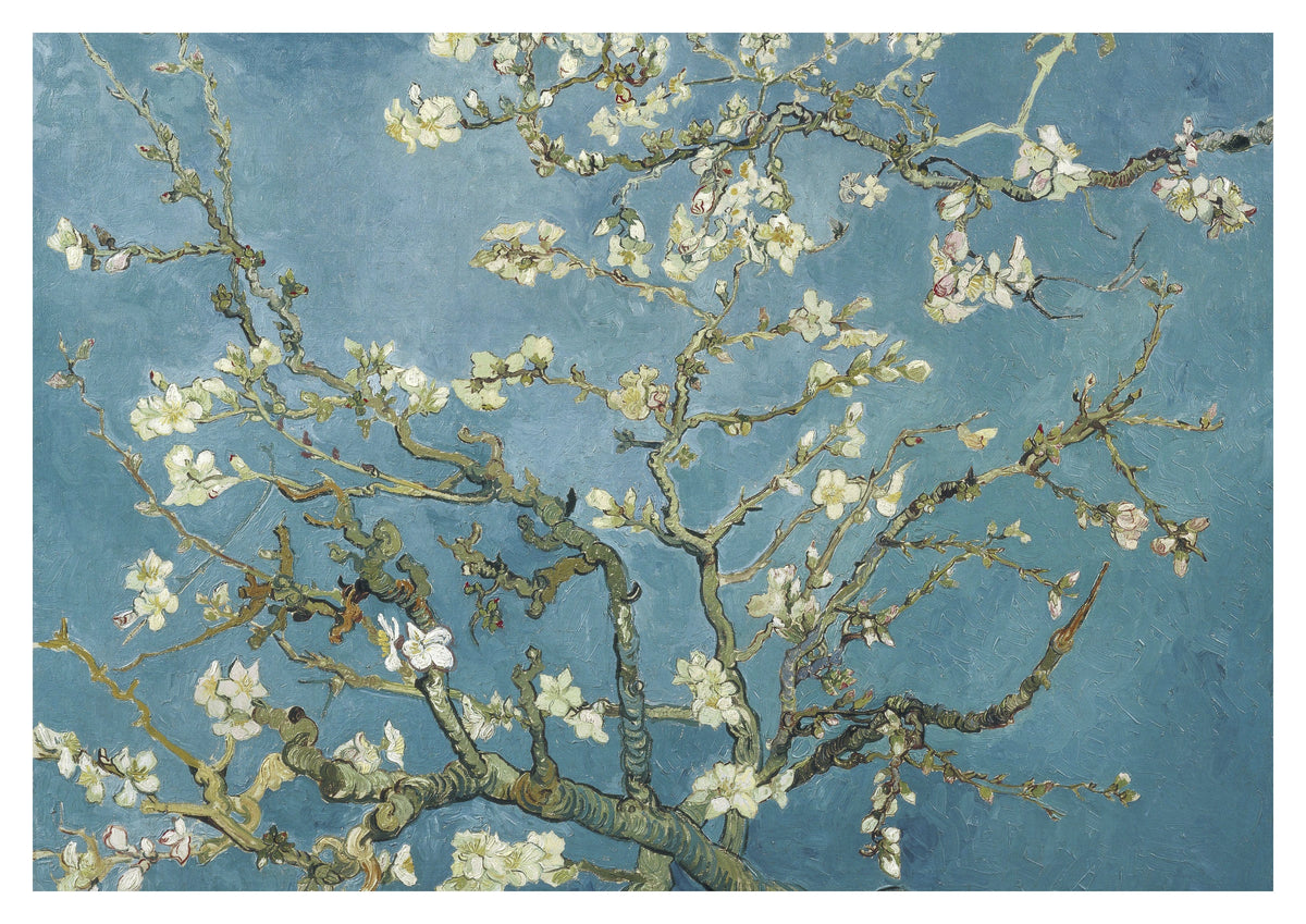 Almond Blossom Art Print by Vincent van Gogh (1890). Pale almond blossoms and dark branching stems spread across a rich blue sky in Vincent van Gogh’s Almond Blossom