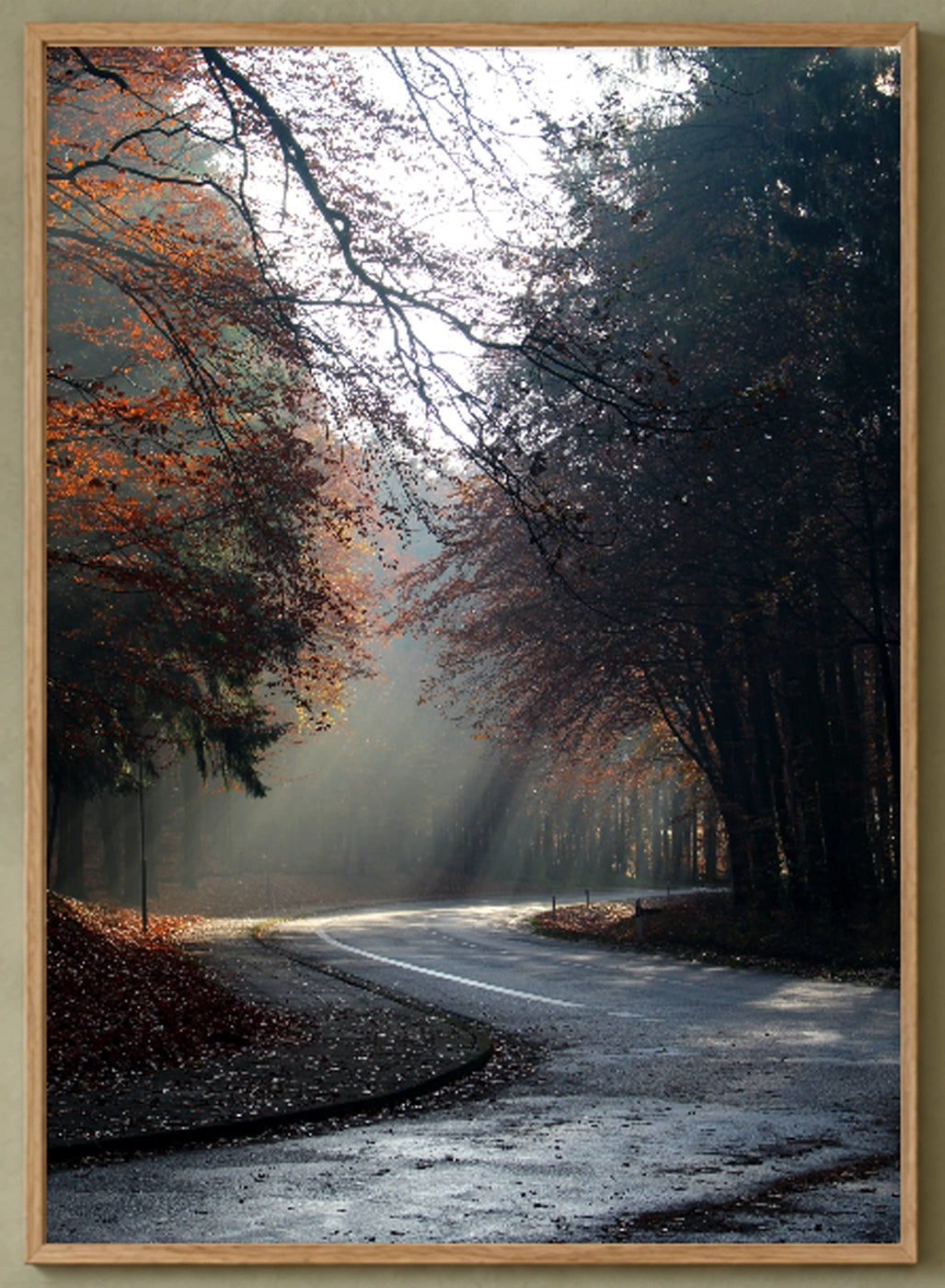 Autumn Forest Photographic Art Print — detail view of the full-bleed print.