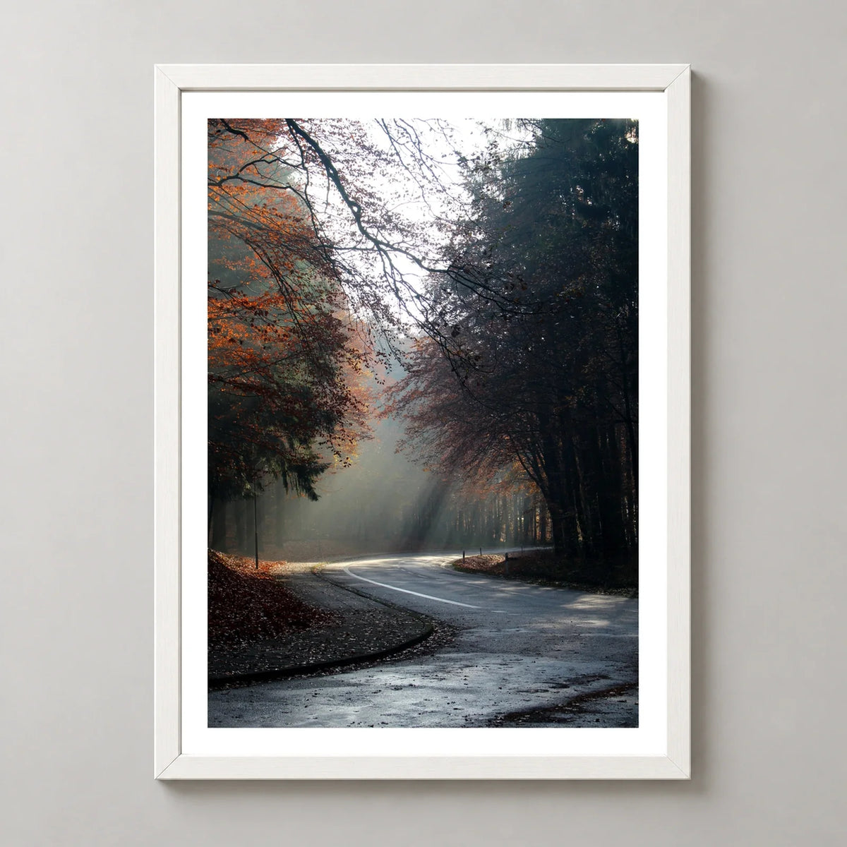 Autumn Forest Photographic Art Print — realistic white frame studio view with white border