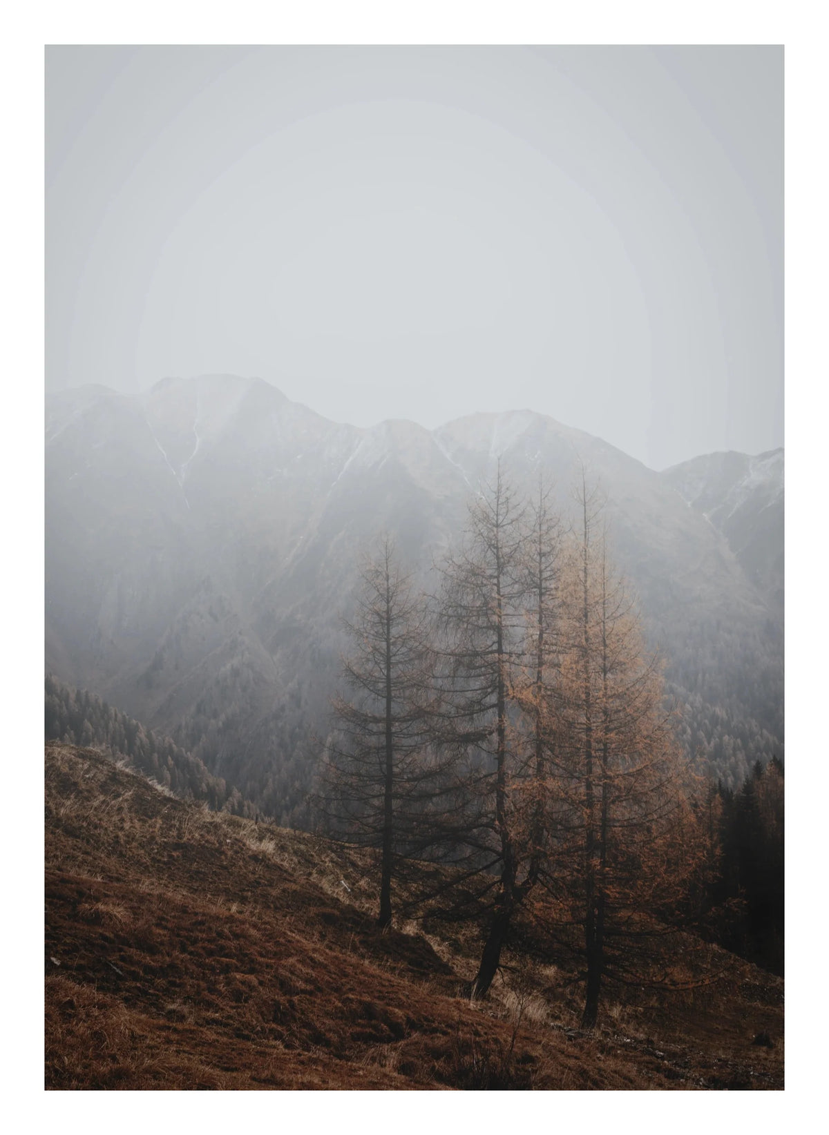 Autumn Mist Mountain Forest Photographic Print — poster only, complete unframed artwork with white border
