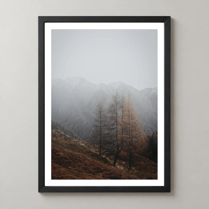 Autumn Mist Mountain Forest Photographic Print