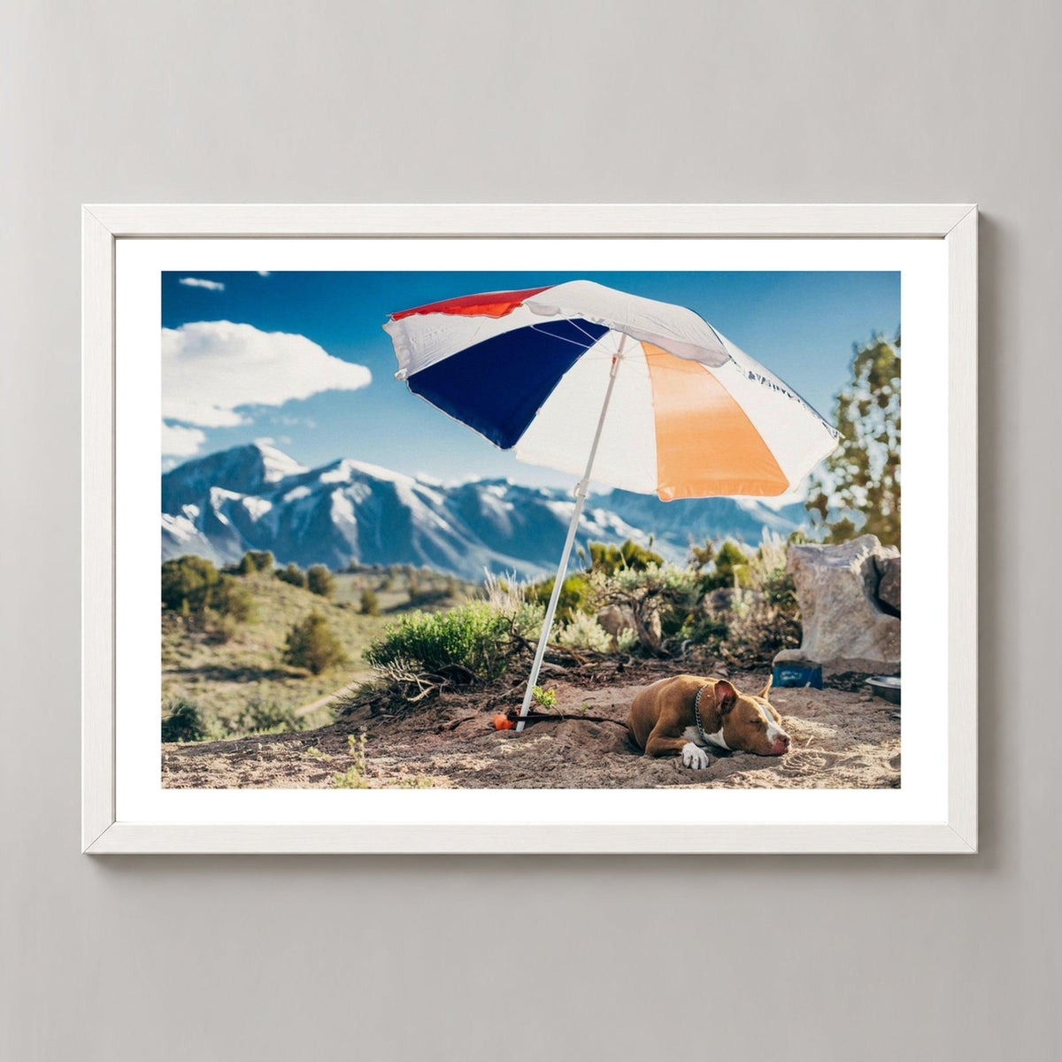 Mammoth Lakes Hot Dog — realistic white frame studio view with white border