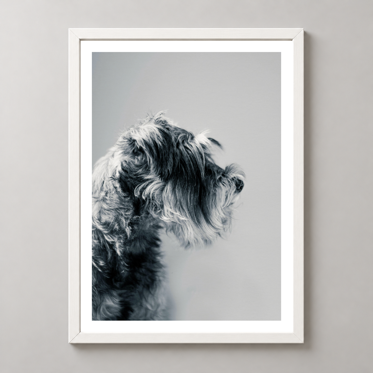 Captivating Canine Portrait - Black and White Dog Art Print — realistic white frame studio view with white border