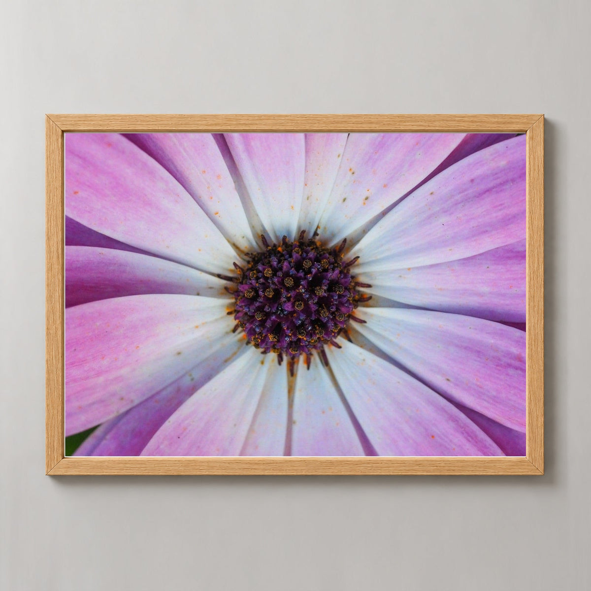Violet Pollen — realistic natural wood frame studio view