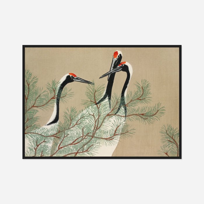 Cranes and Pine Art Print
