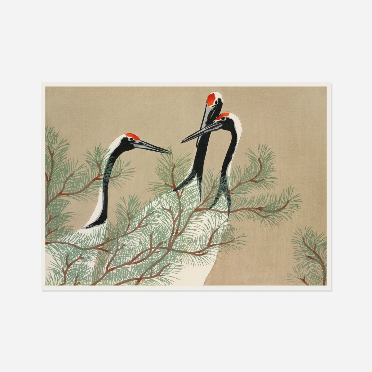 Cranes and Pine — front view in a white frame