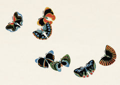 Dark Patterned Butterflies — borderless A-series artwork