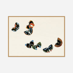 Dark Patterned Butterflies — front view in a natural wood frame