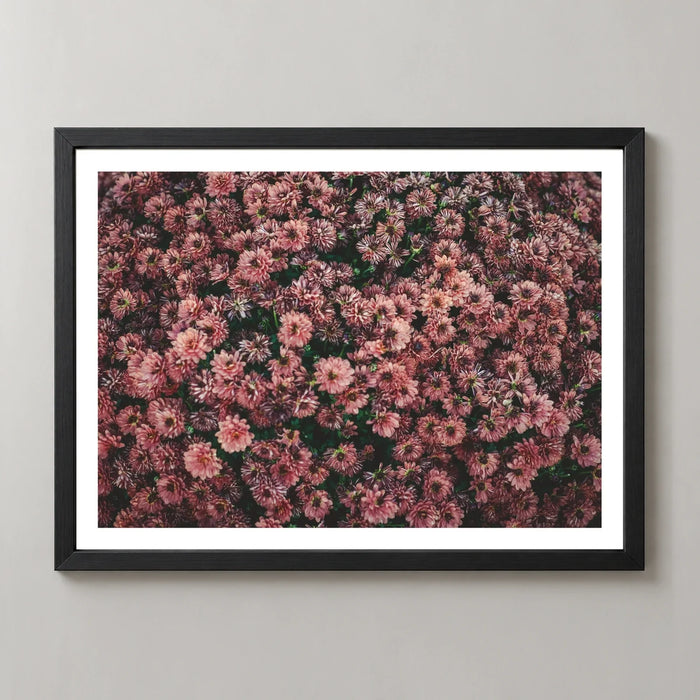 Dark Pink Flowers Photographic Print