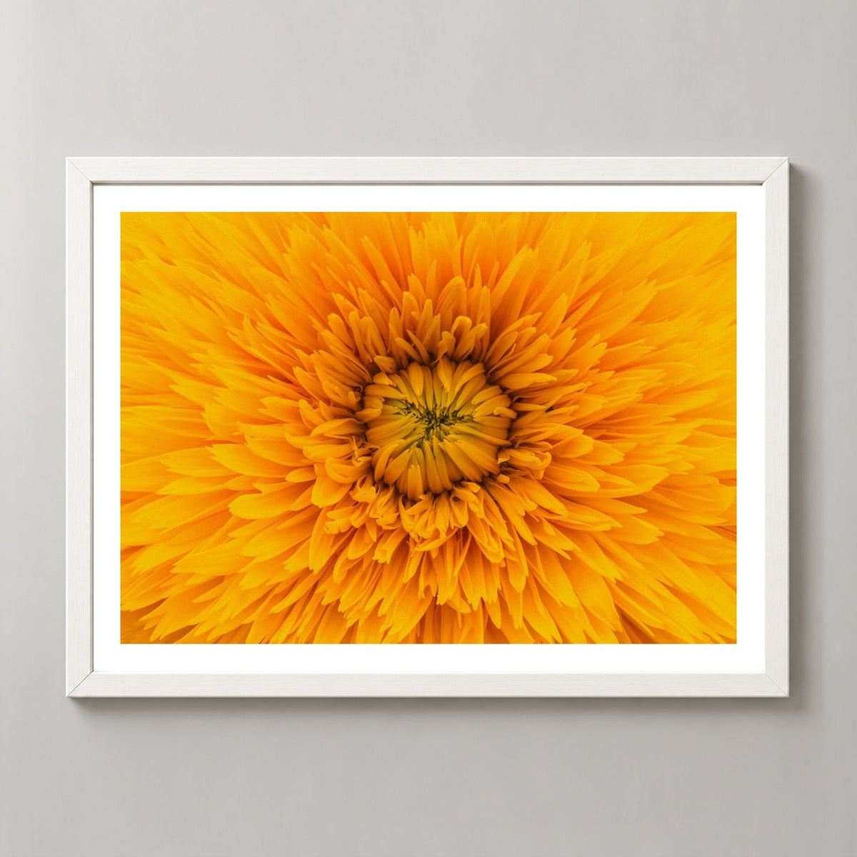 Yellow Flower Up Close — realistic white frame studio view with white border