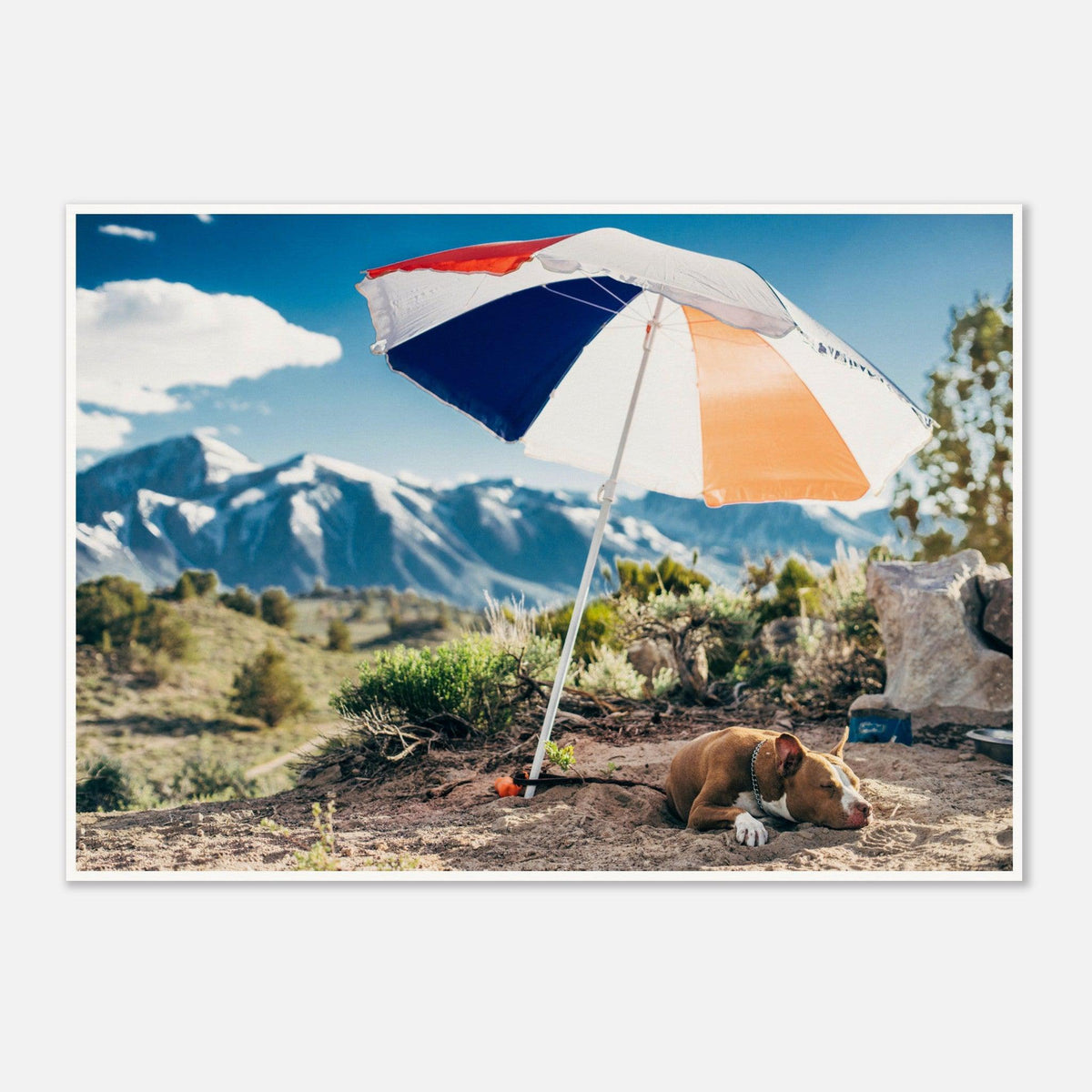 Mammoth Lakes Hot Dog