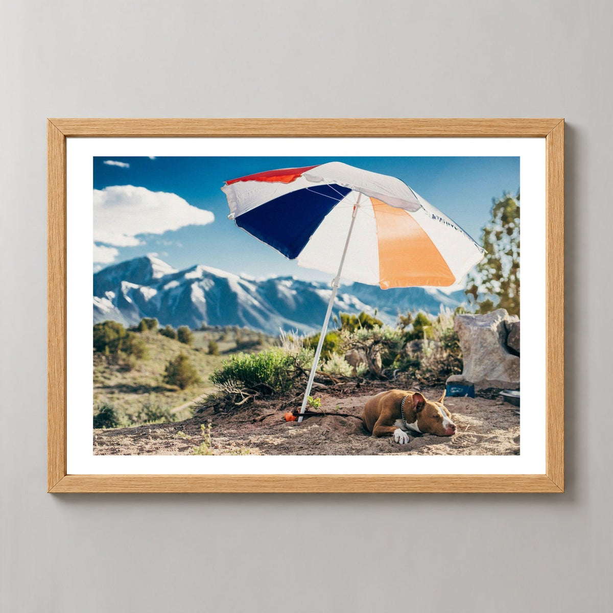 Mammoth Lakes Hot Dog — realistic natural wood frame studio view with white border