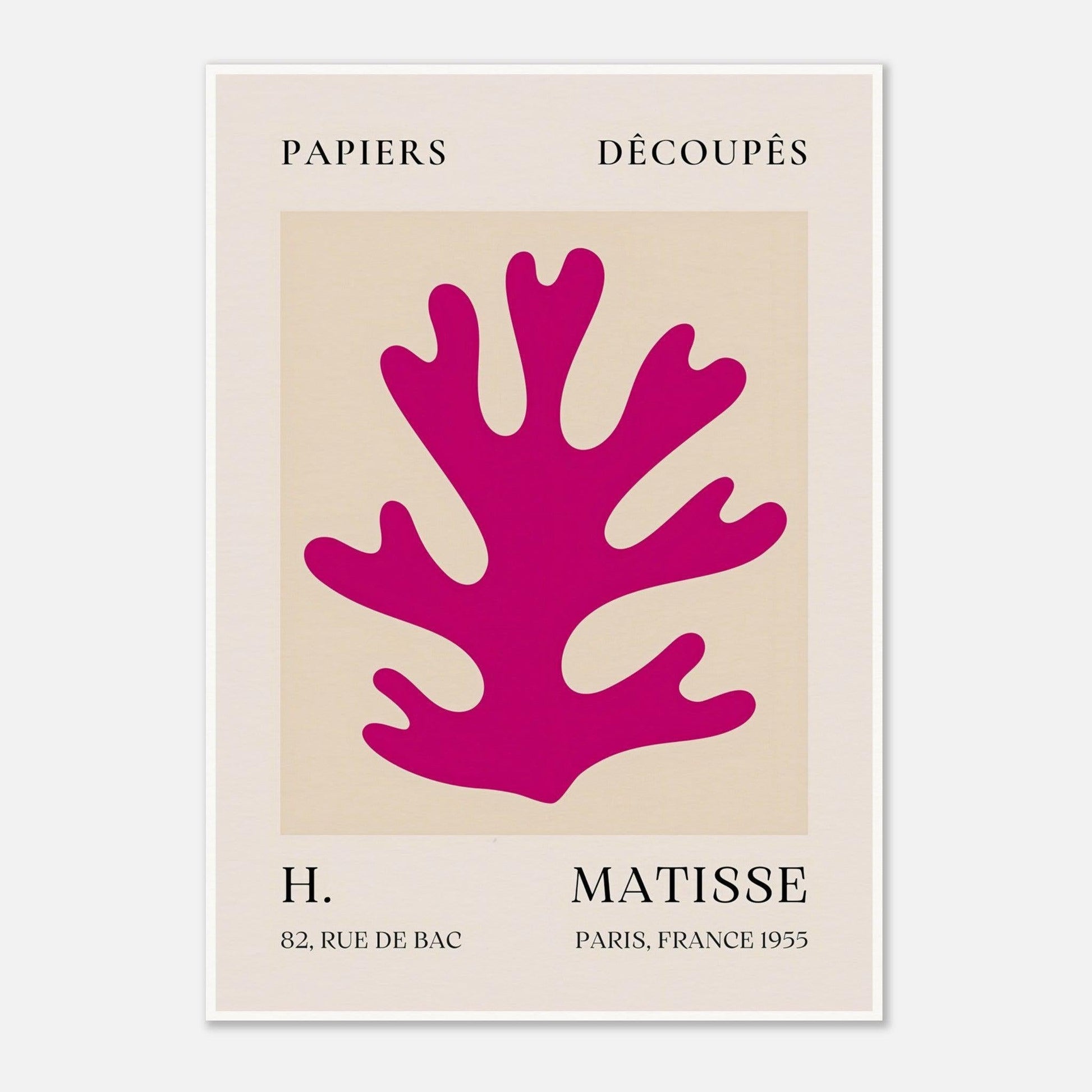 galrie-set-component-papiers-decoupes-matisse-print-pink-foliage-1955