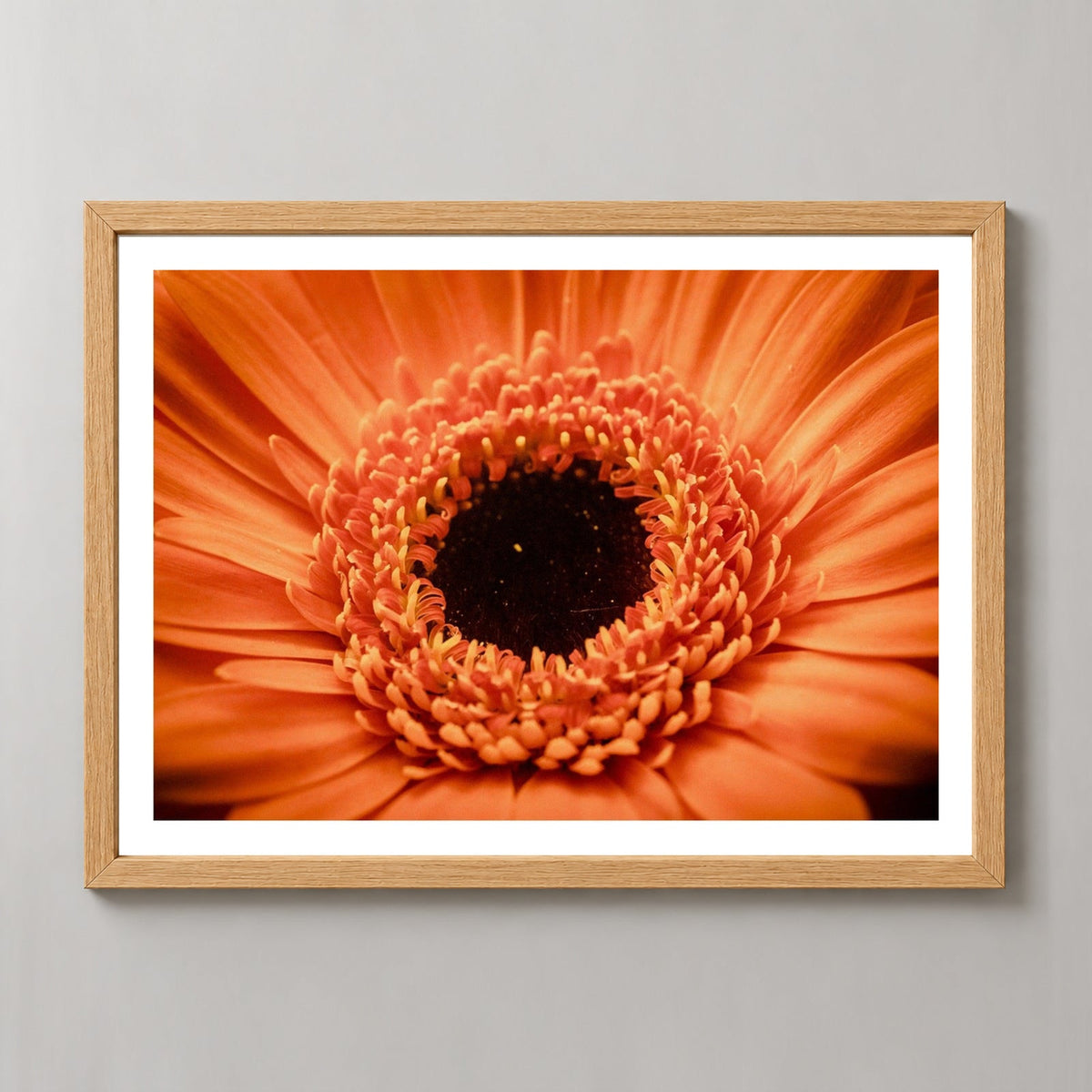 Orange Flower Up Close — realistic natural wood frame studio view with white border