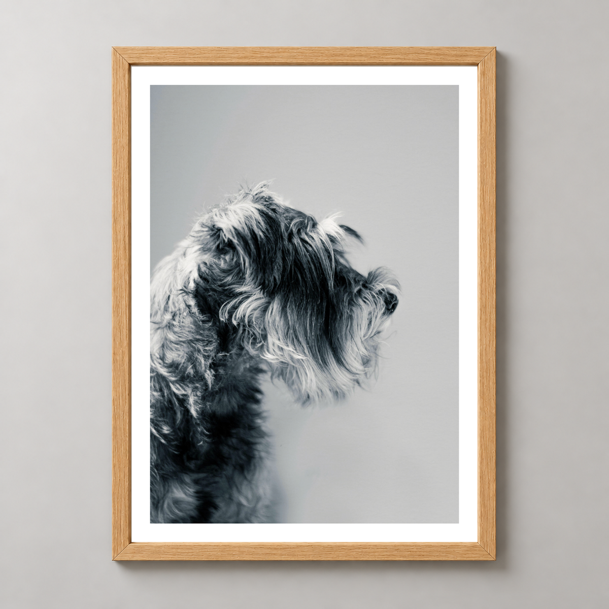 Captivating Canine Portrait - Black and White Dog Art Print — realistic natural wood frame studio view with white border