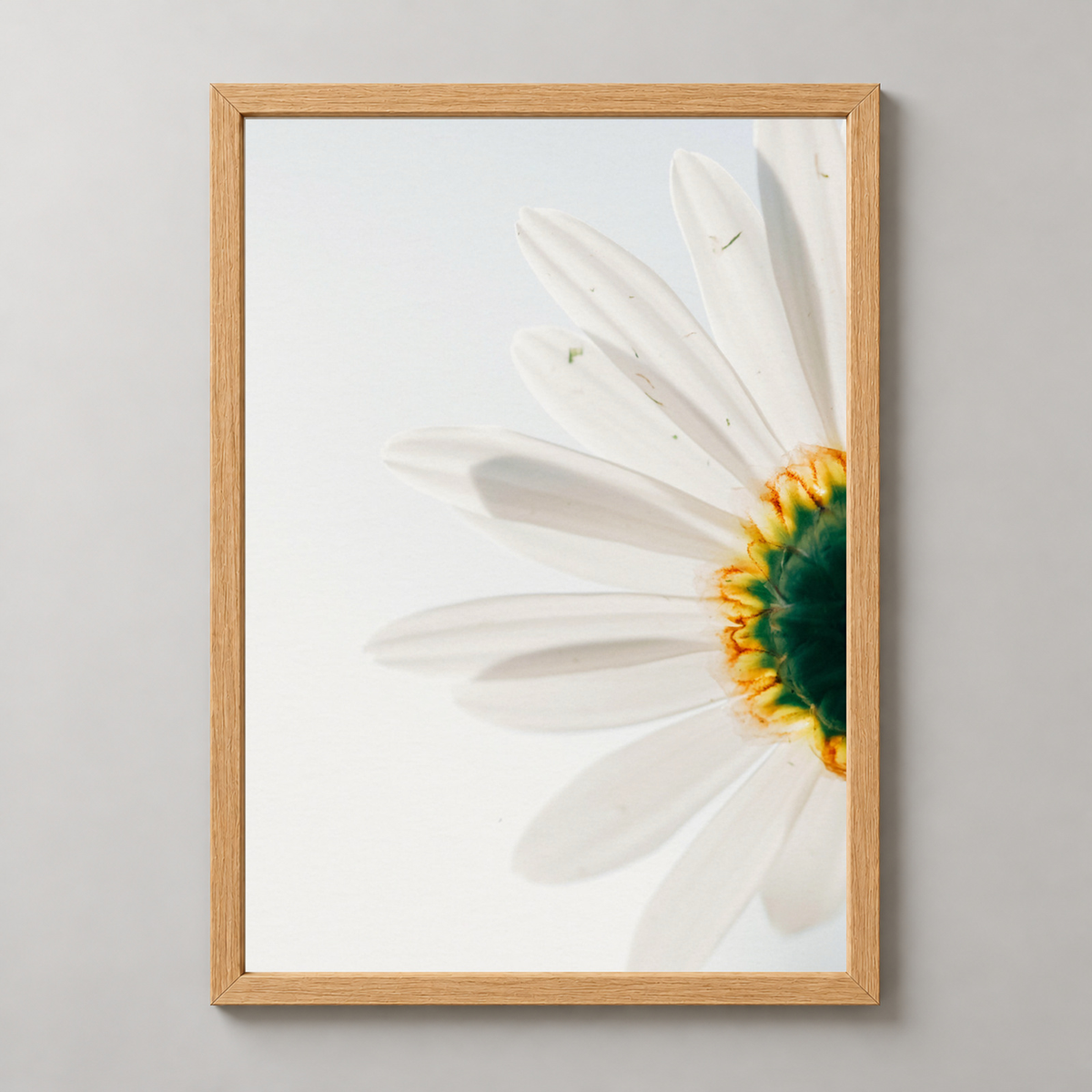 Close-Up Daisy Flower Art Print - Nature Photography — realistic natural wood frame studio view