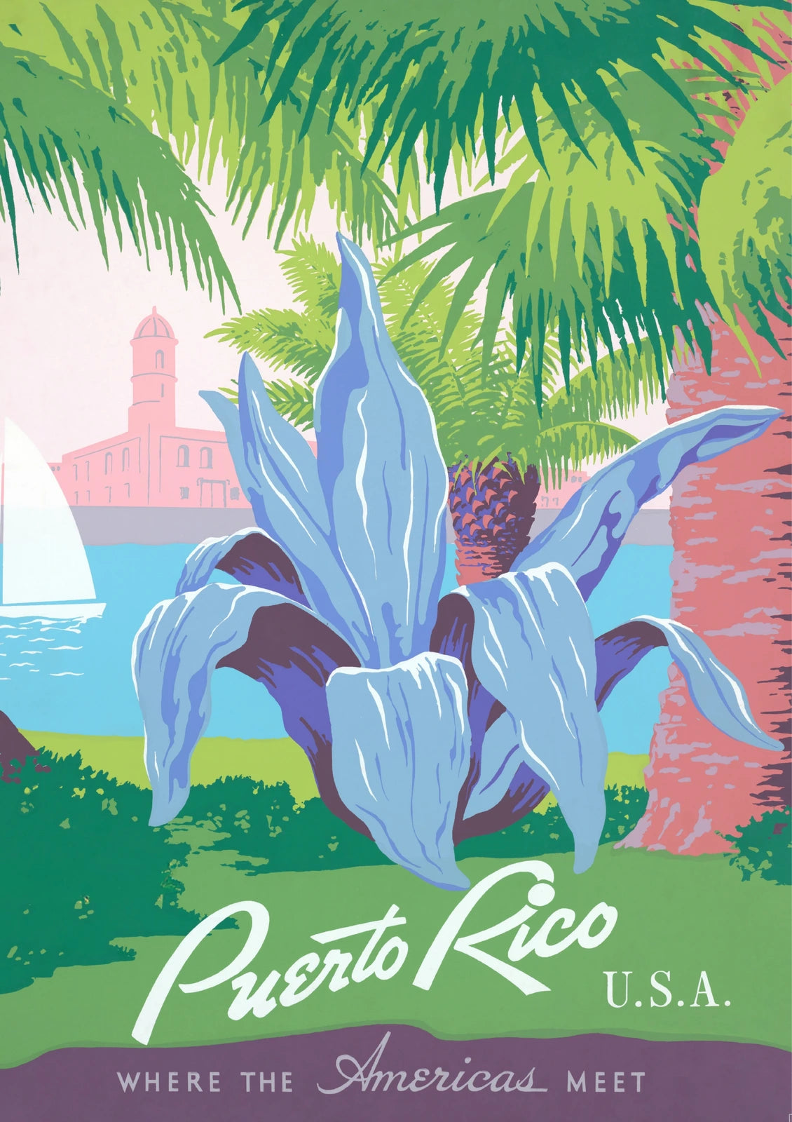 Puerto Rico — Tropical Iris — finished print composition