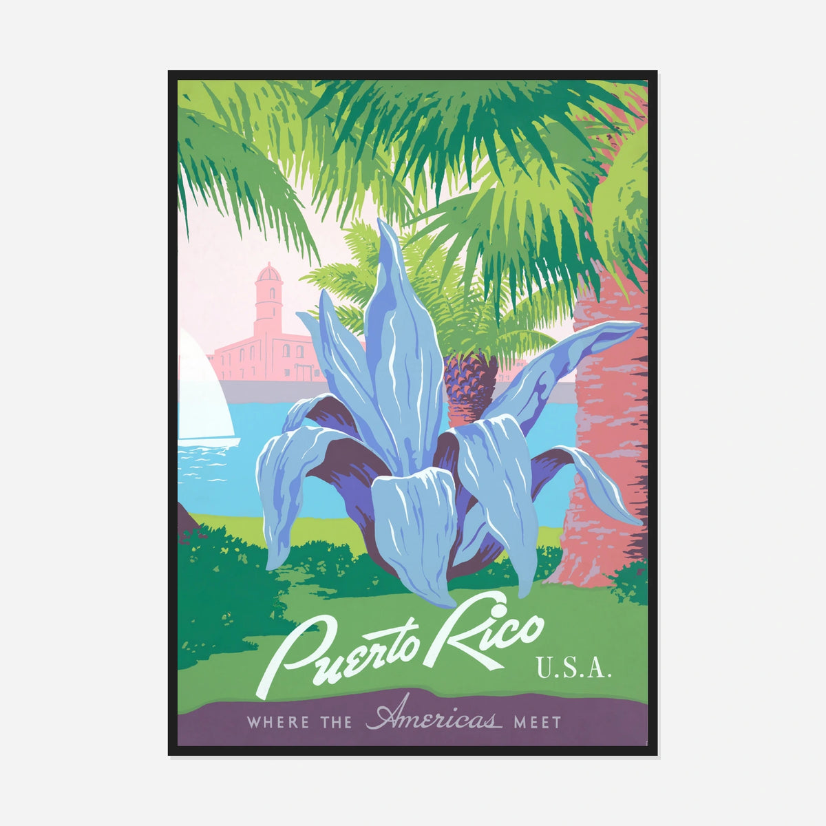 Puerto Rico — Tropical Iris — front view in a black frame