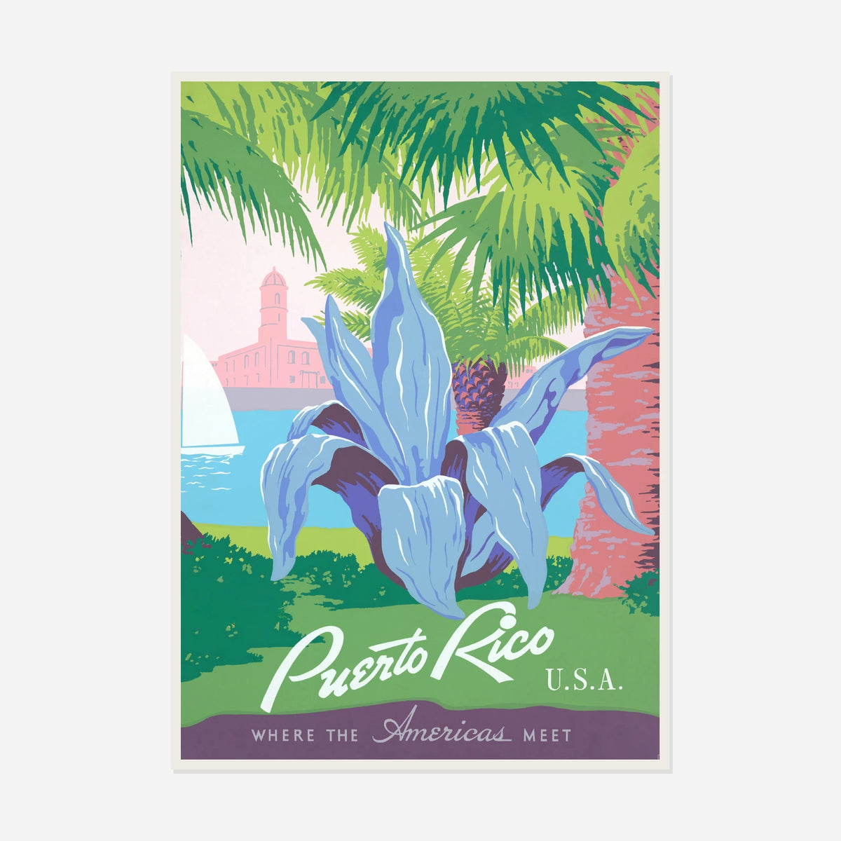 Puerto Rico — Tropical Iris — front view in a white frame