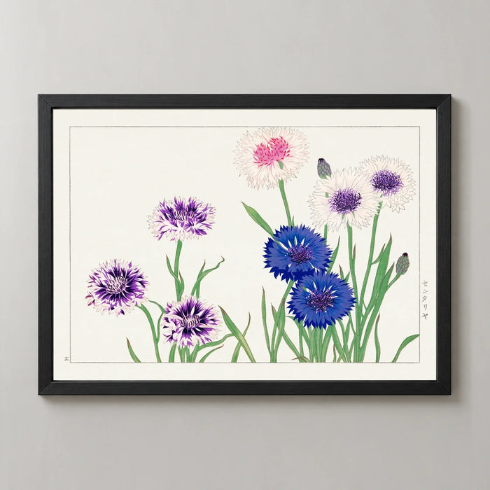 Blue Cornflowers Art Print