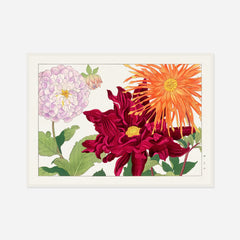 Dahlias in Orange and Lilac — front view in a white frame