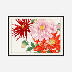 Pink and Red Dahlias — front view in a black frame