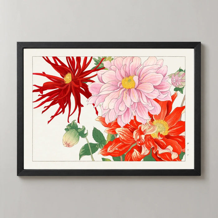 Pink and Red Dahlias Art Print by Tanigami Kōnan