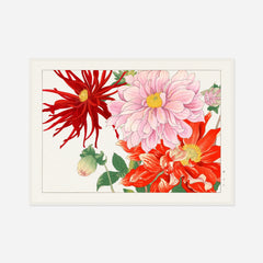 Pink and Red Dahlias — front view in a white frame