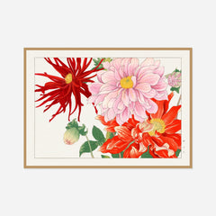 Pink and Red Dahlias — front view in a natural wood frame