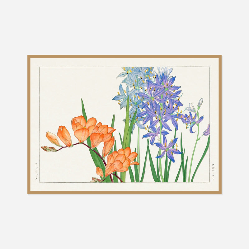 Orange and Blue Freesias — front view in a natural wood frame