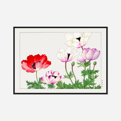 Poppies in Red, White and Pink — front view in a black frame