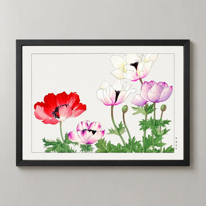 Poppies in Red, White and Pink Art Print by Tanigami Kōnan