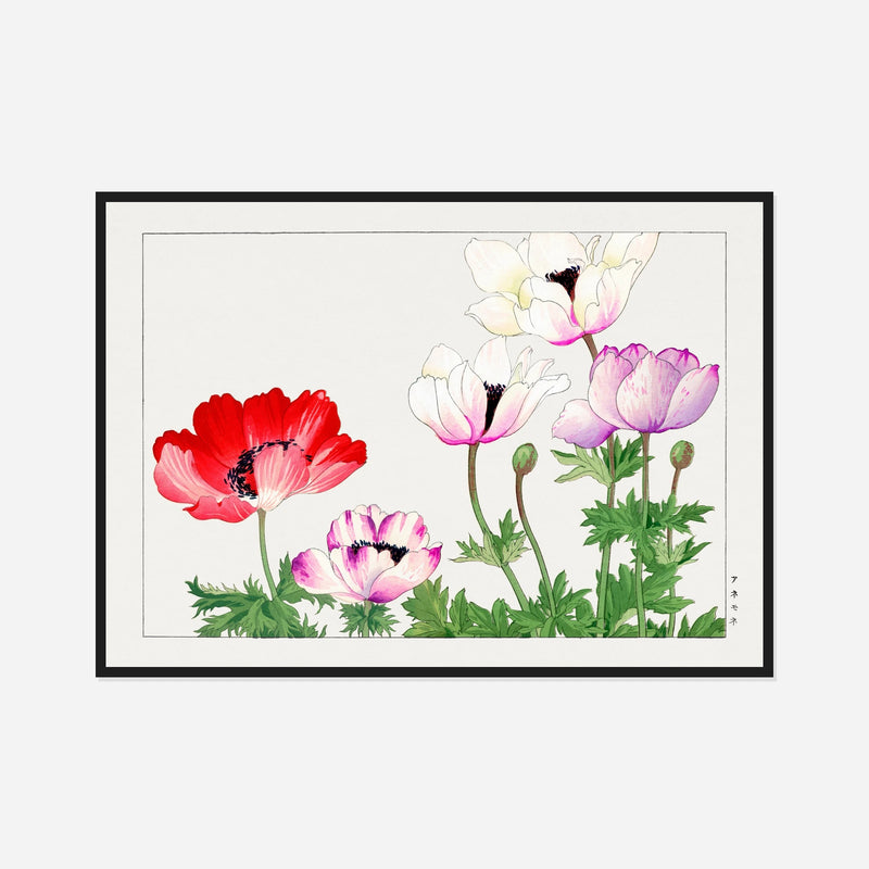 Poppies in Red, White and Pink — front view in a black frame