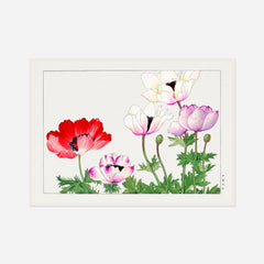 Poppies in Red, White and Pink — front view in a white frame